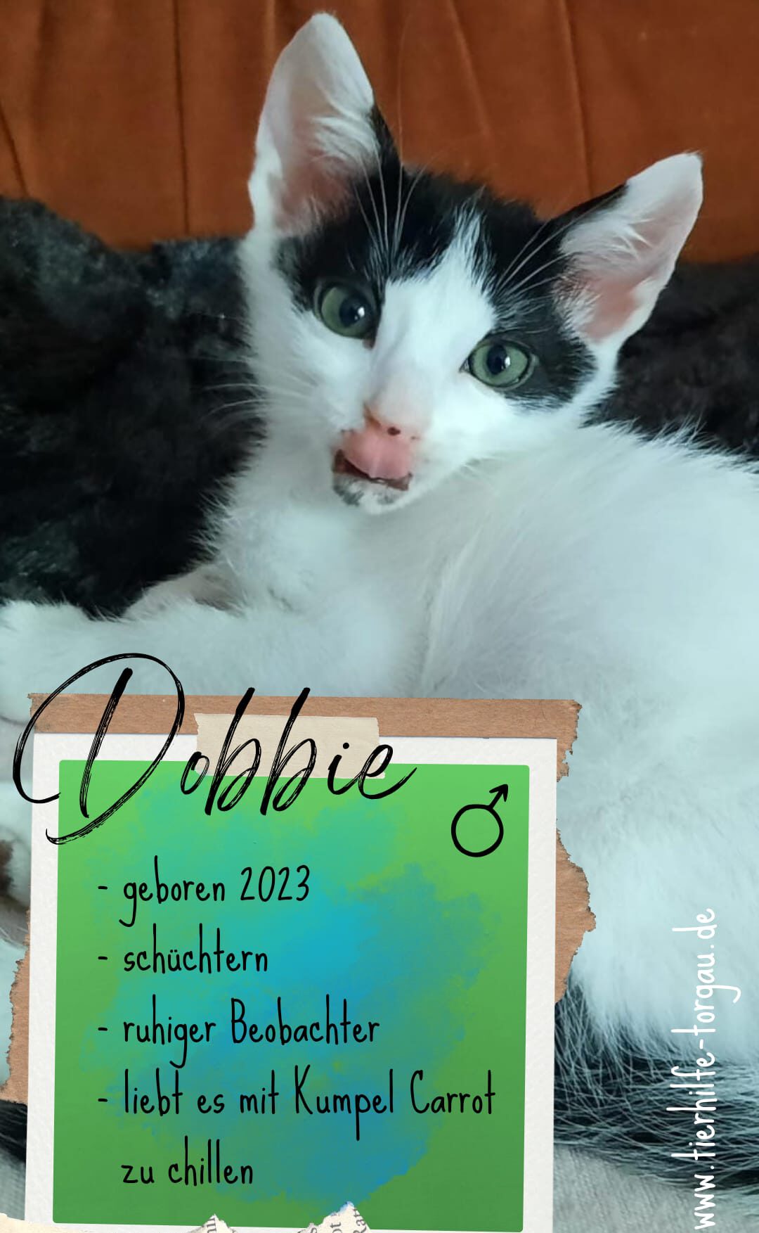 Dobbie