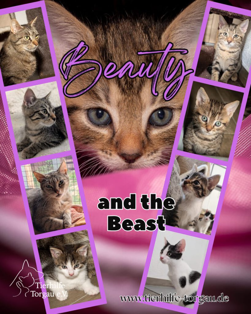 Beauty and the Beast