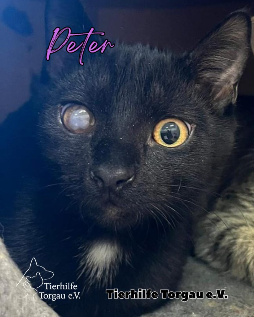 Peter