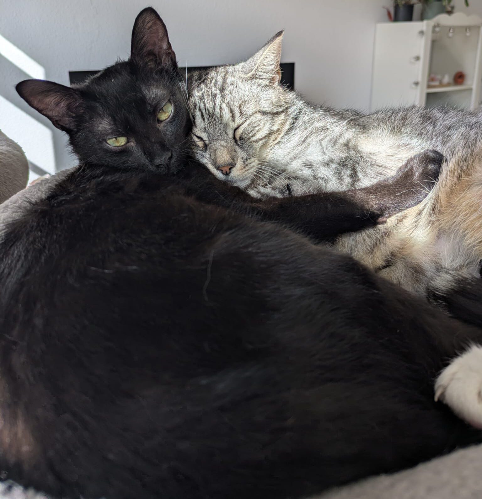 Yuna & Gusti
