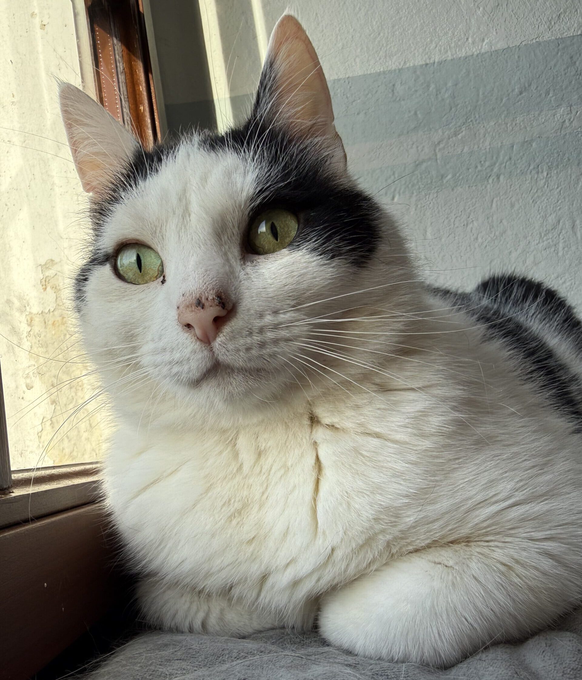 Pixel
