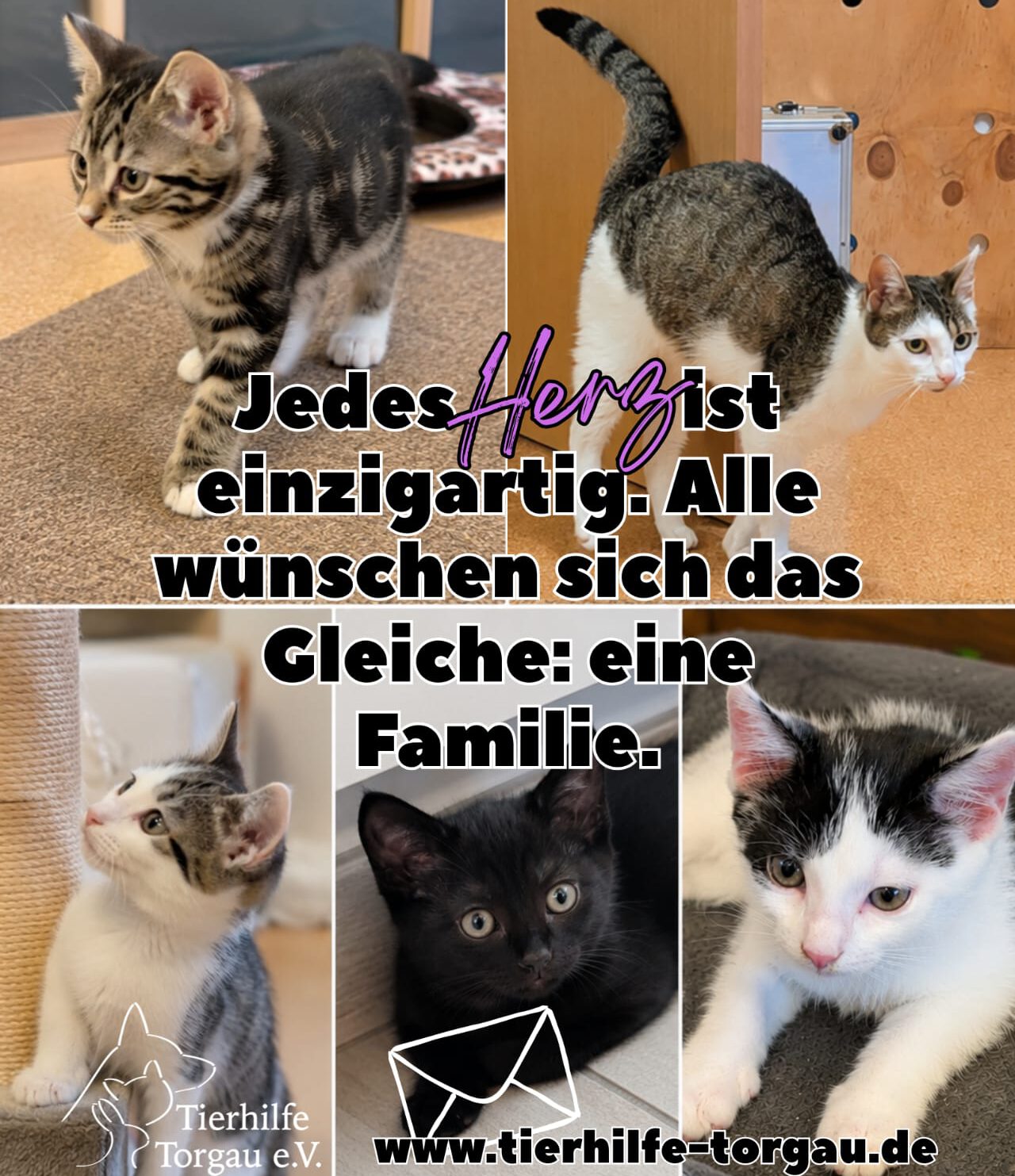 Felinchen & Kids