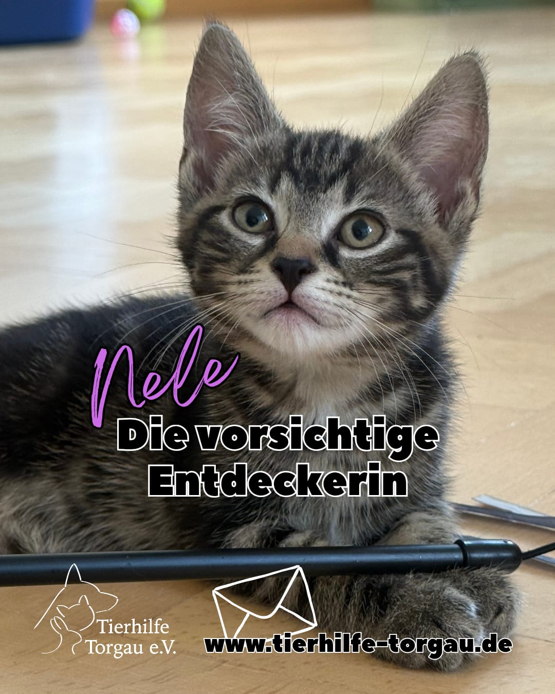 Nele
