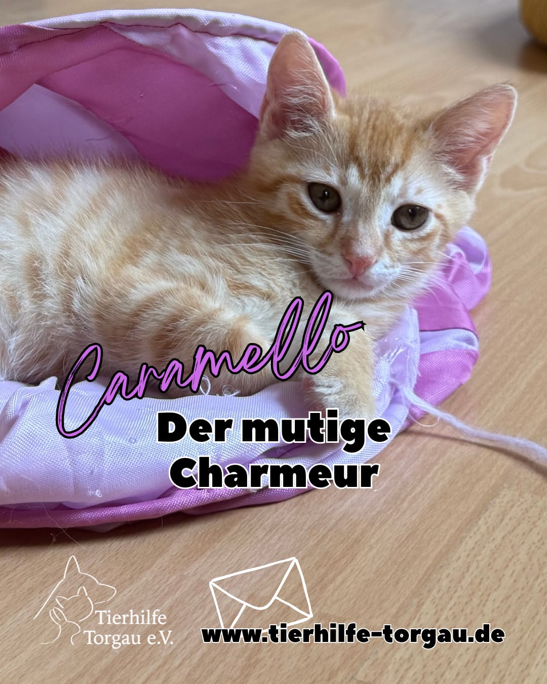 Caramello