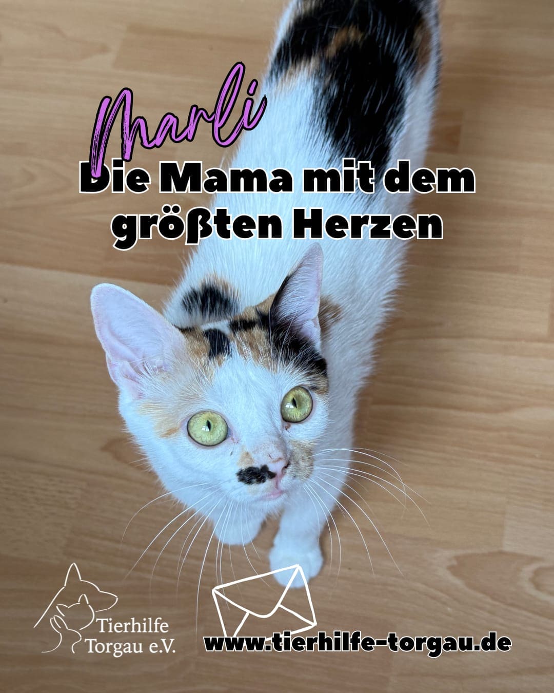 Marli