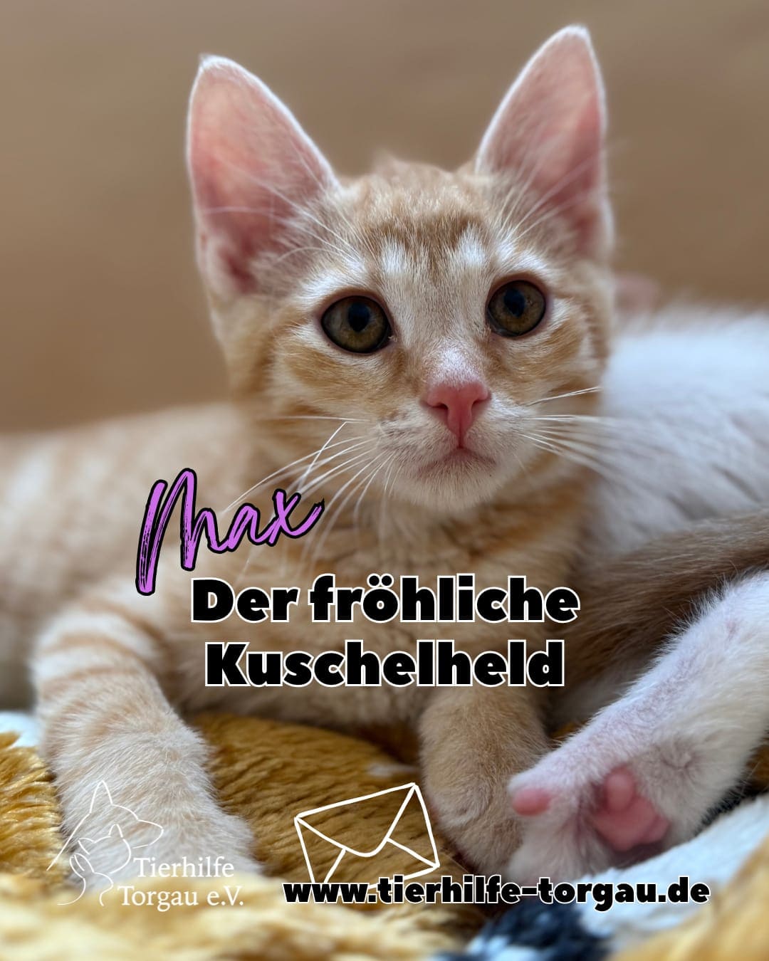 Max