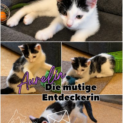 Felinchen & Kids