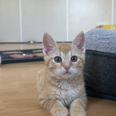 Max