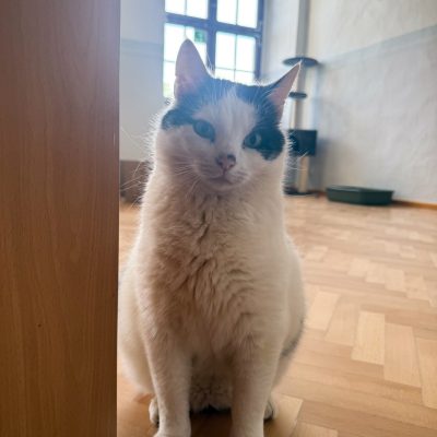 Pixel