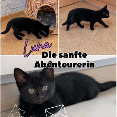 Felinchen & Kids
