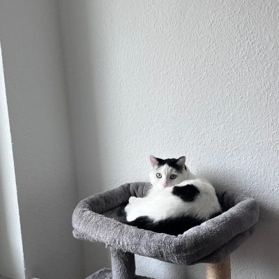 Pepper und Prinz Kullerbauch