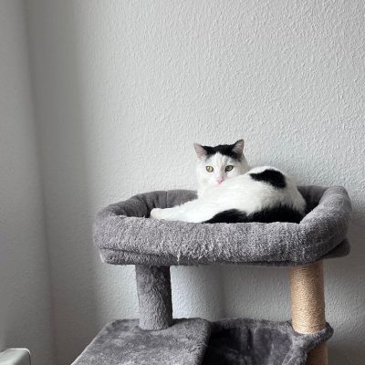 Pepper und Prinz Kullerbauch