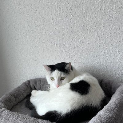 Pepper und Prinz Kullerbauch