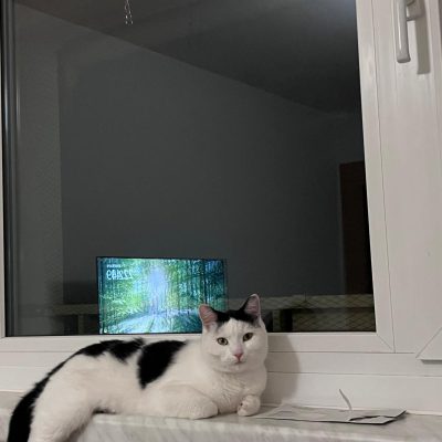 Pepper und Prinz Kullerbauch