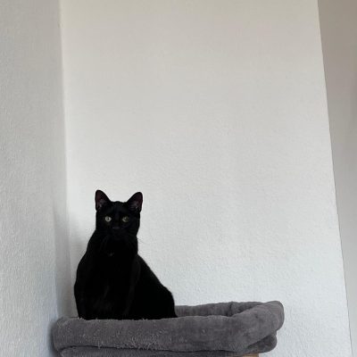 Pepper und Prinz Kullerbauch