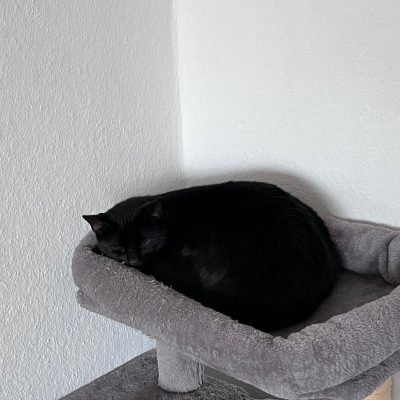 Pepper und Prinz Kullerbauch