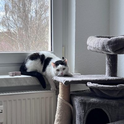 Pepper und Prinz Kullerbauch