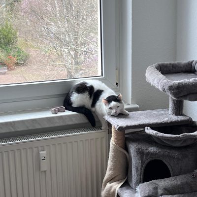 Pepper und Prinz Kullerbauch