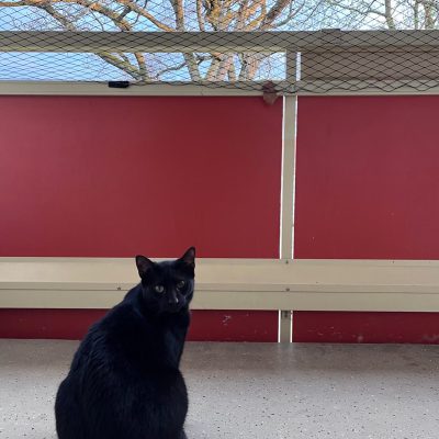 Pepper und Prinz Kullerbauch