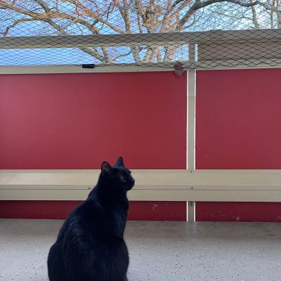 Pepper und Prinz Kullerbauch