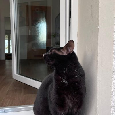 Pepper und Prinz Kullerbauch