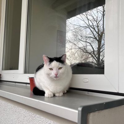 Pepper und Prinz Kullerbauch