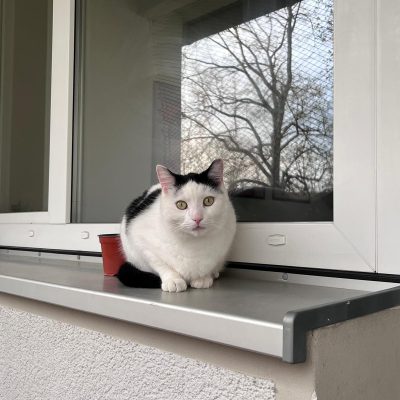Pepper und Prinz Kullerbauch