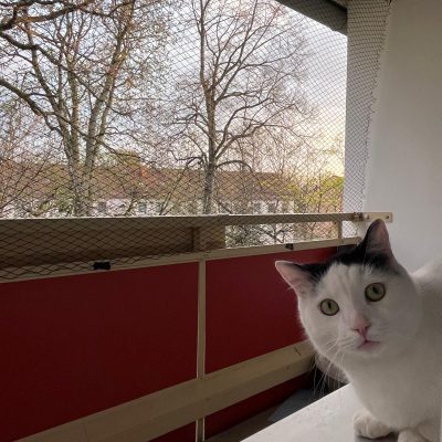 Pepper und Prinz Kullerbauch