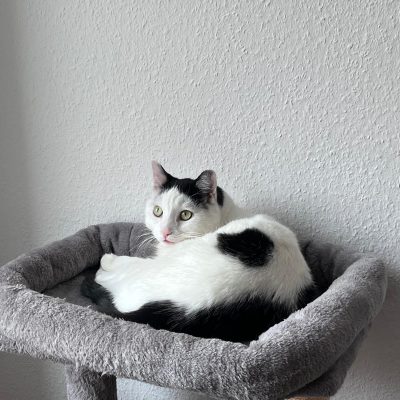Pepper und Prinz Kullerbauch