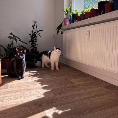Pepper und Prinz Kullerbauch