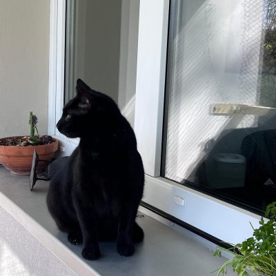 Pepper und Prinz Kullerbauch