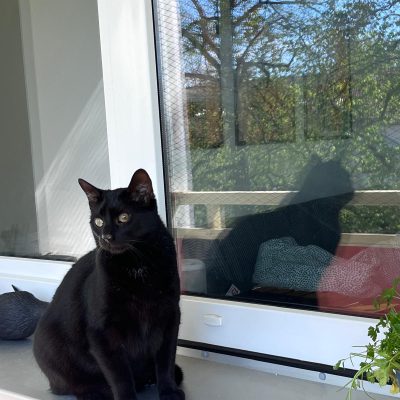 Pepper und Prinz Kullerbauch