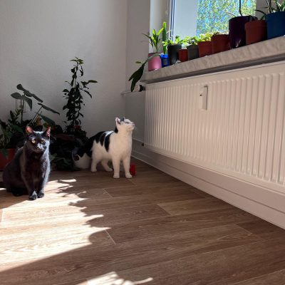 Pepper und Prinz Kullerbauch