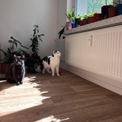 Pepper und Prinz Kullerbauch