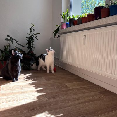 Pepper und Prinz Kullerbauch