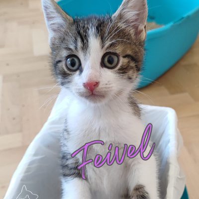 Fee und ihre Kids