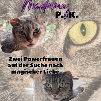 Madame Kommode & Pottine