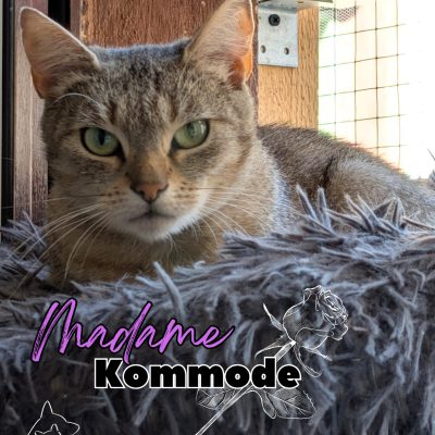 Madame Kommode & Pottine