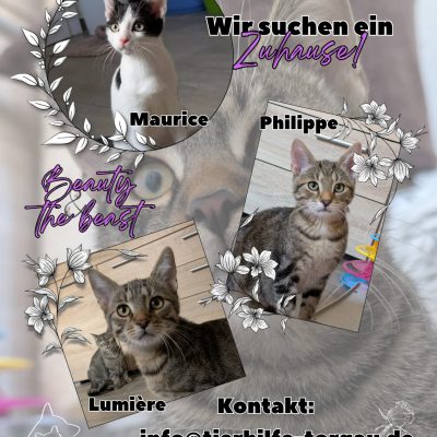 Lumière, Philippe und Maurice