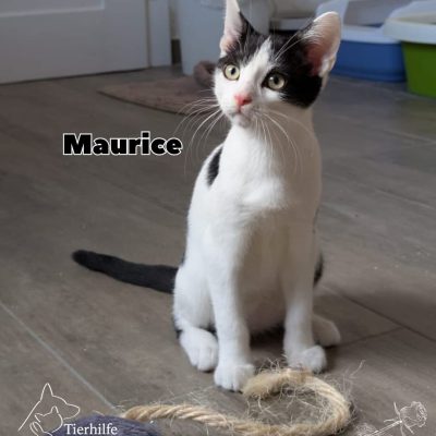 Lumière, Philippe und Maurice