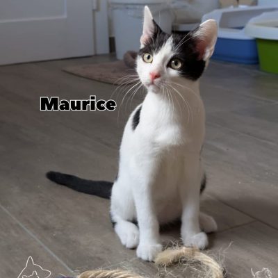 Lumière, Philippe und Maurice