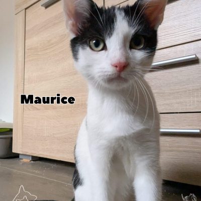 Lumière, Philippe und Maurice