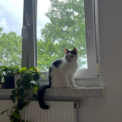 Pepper & Prinz Kullerbauch