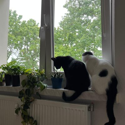 Pepper & Prinz Kullerbauch