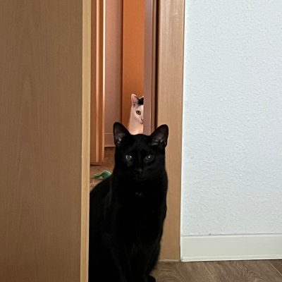 Pepper & Prinz Kullerbauch