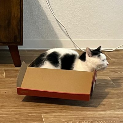 Pepper & Prinz Kullerbauch
