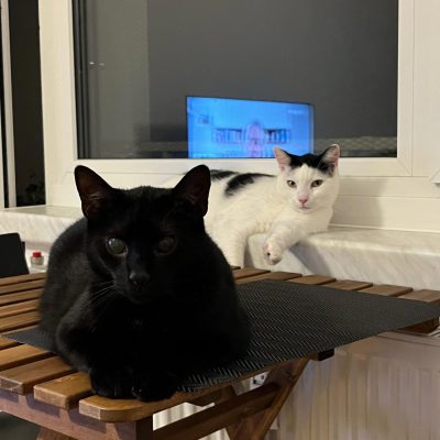 Pepper & Prinz Kullerbauch