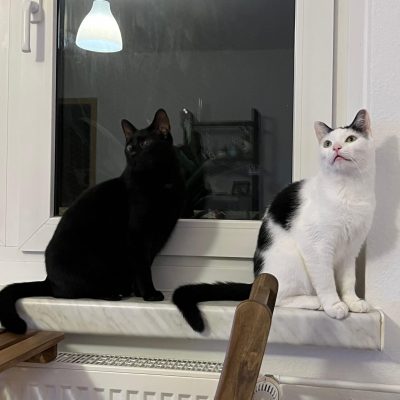 Pepper & Prinz Kullerbauch
