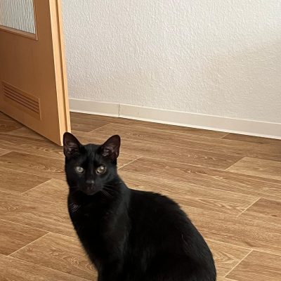 Pepper & Prinz Kullerbauch
