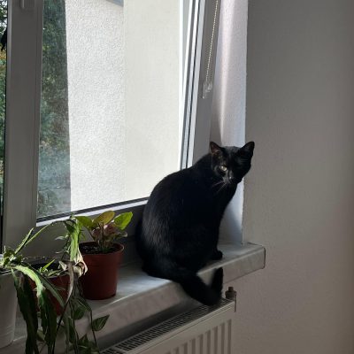 Pepper & Prinz Kullerbauch